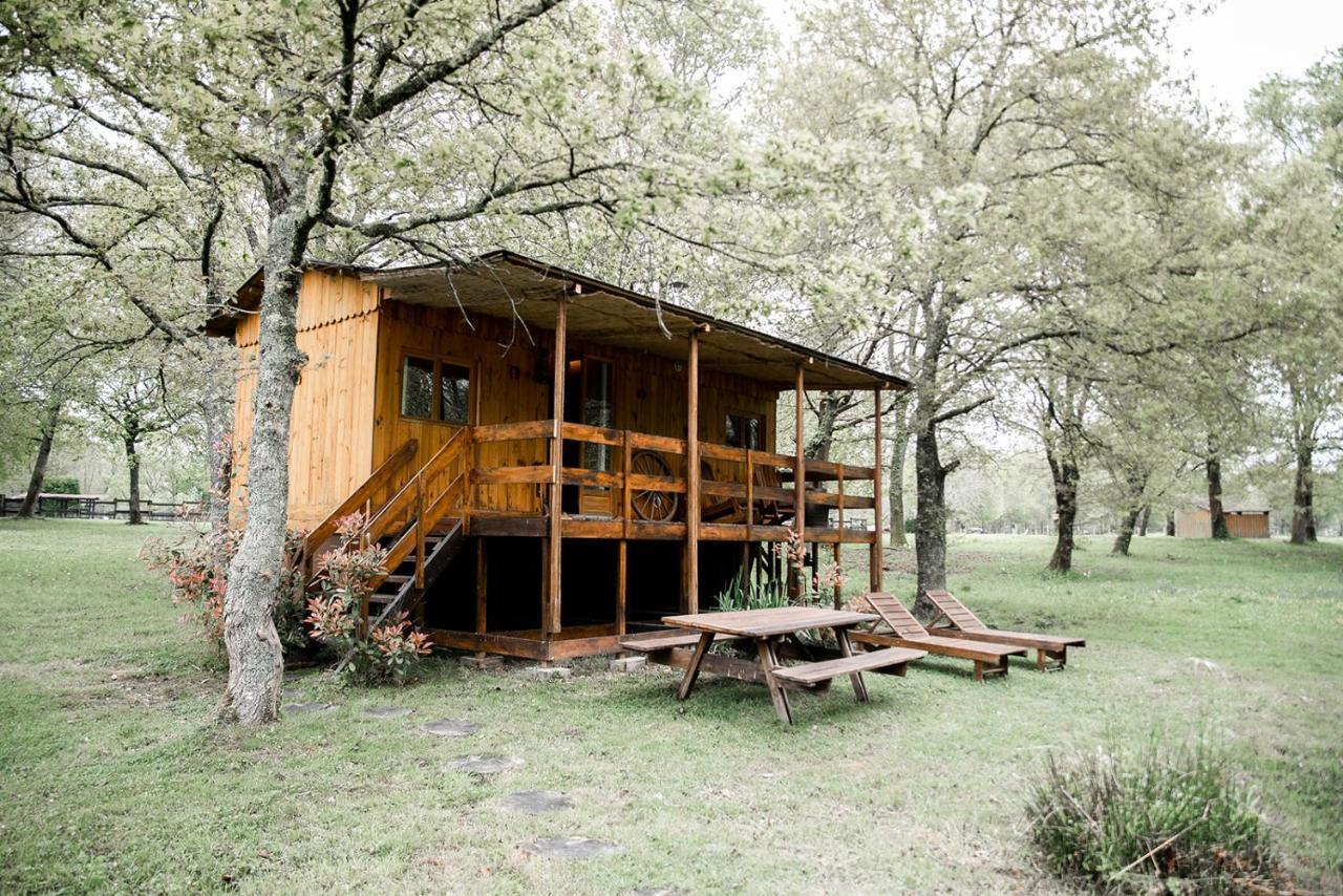 Le Ranch Amadeus Bed & Breakfast Saint-Paul-en-Born Exterior photo