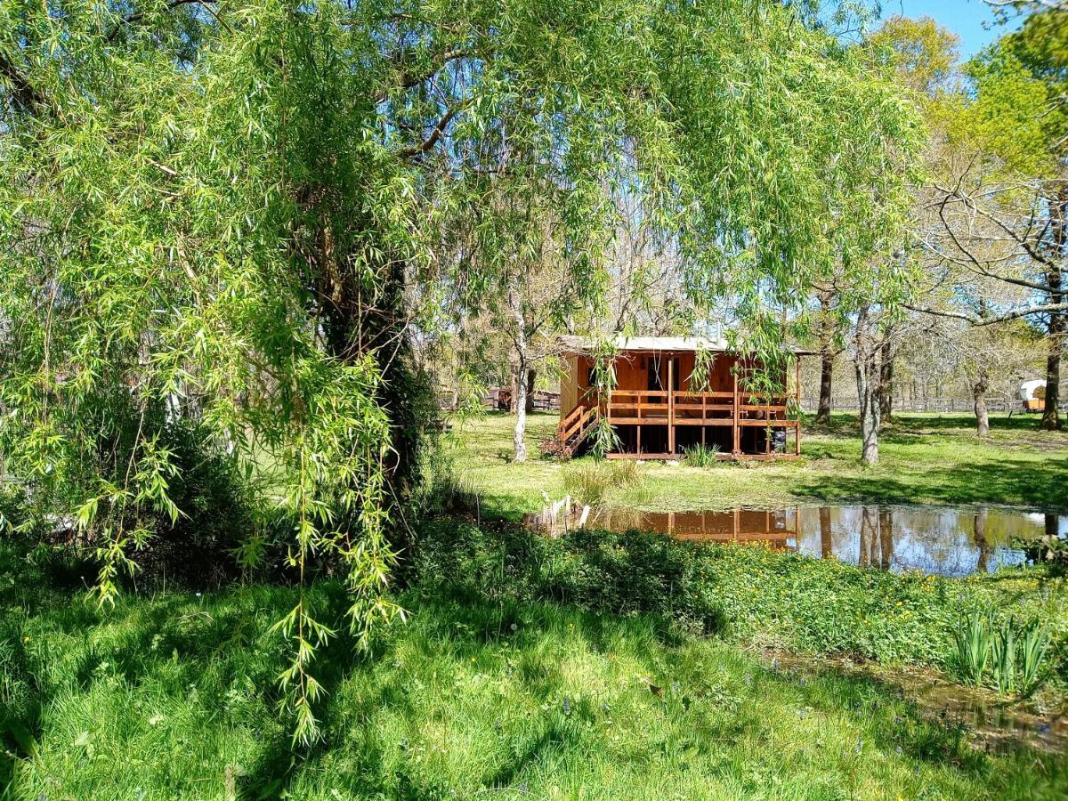 Le Ranch Amadeus Bed & Breakfast Saint-Paul-en-Born Exterior photo